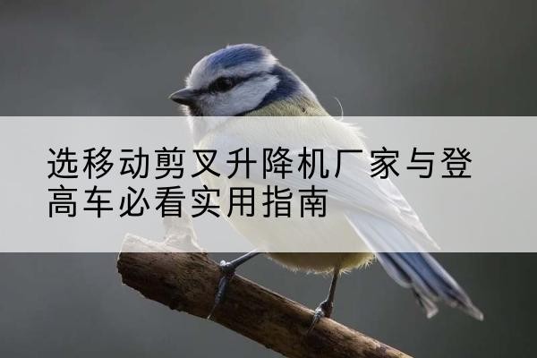 河北电动升降机厂家-选移动剪叉升降机厂家与登高车必看实用指南