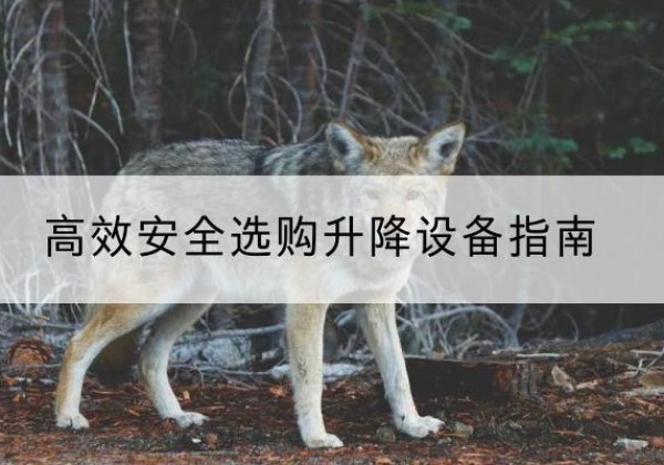河北升降货梯厂家推荐-*安全选购升降设备指南